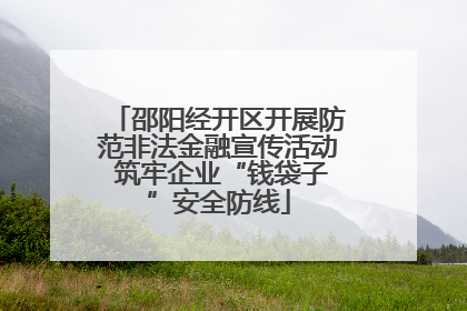邵阳经开区开展防范非法金融宣传活动 筑牢企业“钱袋子”安全防线