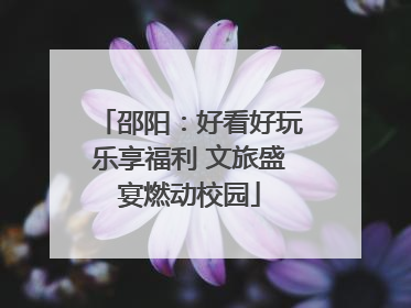 邵阳：好看好玩乐享福利 文旅盛宴燃动校园