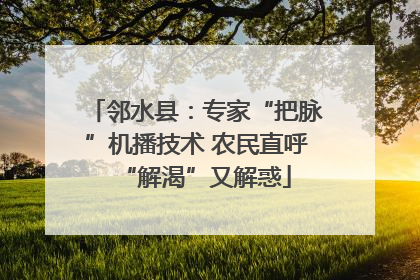 邻水县：专家“把脉”机播技术 农民直呼“解渴”又解惑