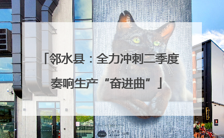 邻水县：全力冲刺二季度 奏响生产“奋进曲”