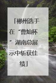 郴州选手在“曹灿杯”湖南总展示中斩获佳绩