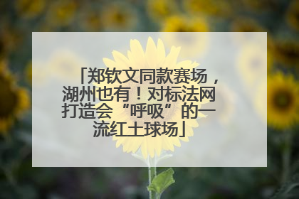郑钦文同款赛场，湖州也有！对标法网打造会“呼吸”的一流红土球场