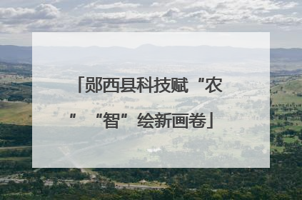 郧西县科技赋“农”“智”绘新画卷