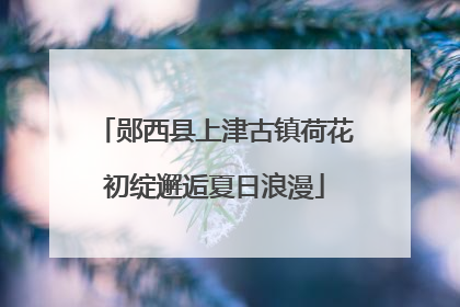 郧西县上津古镇荷花初绽邂逅夏日浪漫