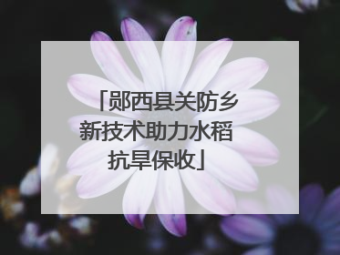 郧西县关防乡新技术助力水稻抗旱保收