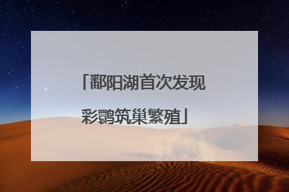 鄱阳湖首次发现彩鹮筑巢繁殖