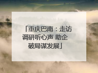 重庆巴南：走访调研听心声 助企破局谋发展