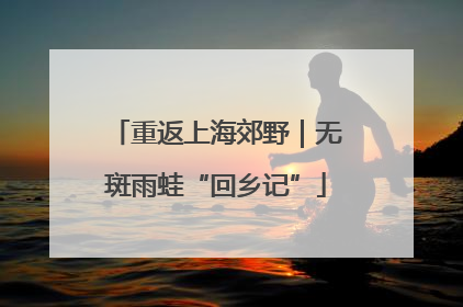重返上海郊野｜无斑雨蛙“回乡记”