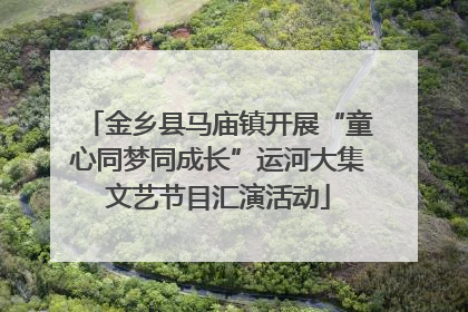 金乡县马庙镇开展“童心同梦同成长”运河大集文艺节目汇演活动
