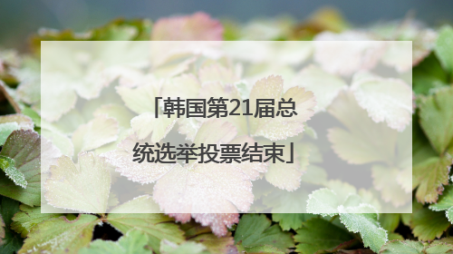 韩国第21届总统选举投票结束