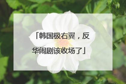 韩国极右翼，反华闹剧该收场了