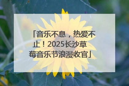 音乐不息，热爱不止！2025长沙草莓音乐节浪漫收官