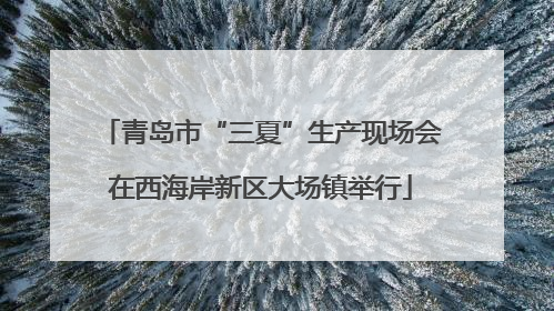 青岛市“三夏”生产现场会在西海岸新区大场镇举行