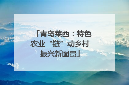 青岛莱西：特色农业“链”动乡村振兴新图景