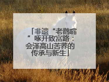 非遗“老鹳嘴”啄开致富路：会泽高山苦荞的传承与新生