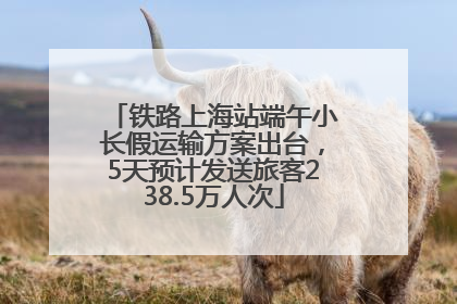 铁路上海站端午小长假运输方案出台，5天预计发送旅客238.5万人次