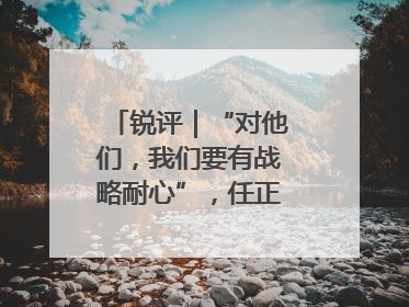 锐评｜“对他们，我们要有战略耐心”，任正非给谁提了醒