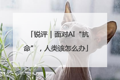 锐评｜面对AI“抗命”，人类该怎么办