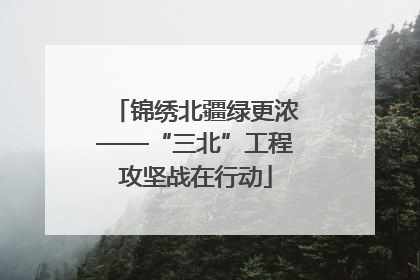 锦绣北疆绿更浓——“三北”工程攻坚战在行动