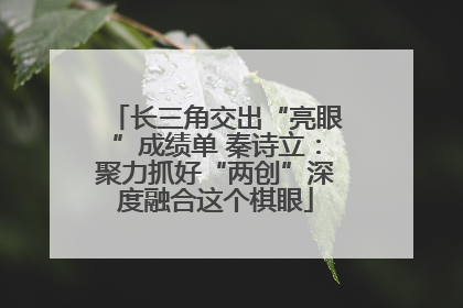 长三角交出“亮眼”成绩单 秦诗立：聚力抓好“两创”深度融合这个棋眼