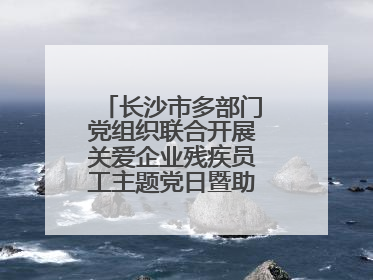 长沙市多部门党组织联合开展关爱企业残疾员工主题党日暨助残日特别活动