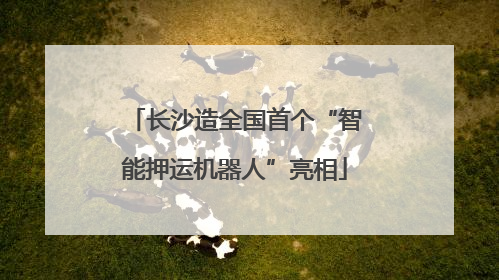 长沙造全国首个“智能押运机器人”亮相