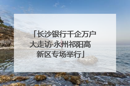 长沙银行千企万户大走访·永州祁阳高新区专场举行