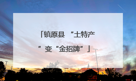 镇原县 “土特产”变“金招牌”