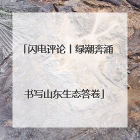 闪电评论丨绿潮奔涌 书写山东生态答卷