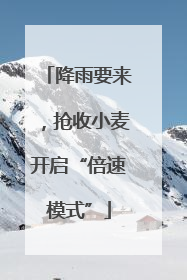 降雨要来，抢收小麦开启“倍速模式”
