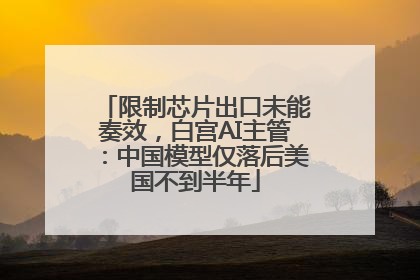 限制芯片出口未能奏效，白宫AI主管：中国模型仅落后美国不到半年
