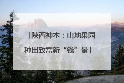 陕西神木：山地果园种出致富新“钱”景