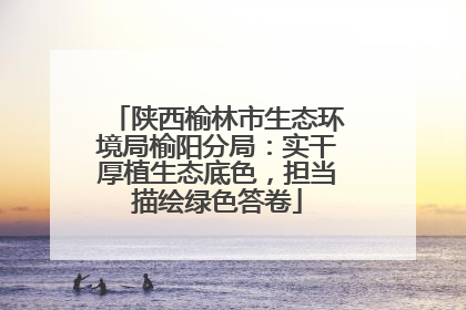 陕西榆林市生态环境局榆阳分局：实干厚植生态底色，担当描绘绿色答卷