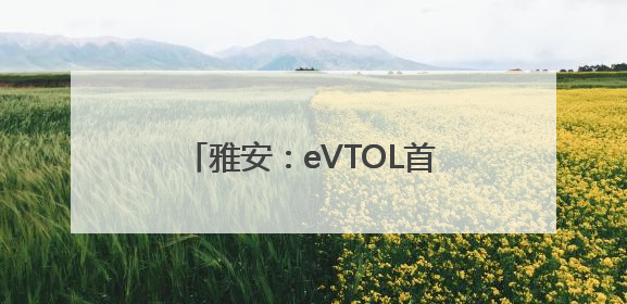 雅安：eVTOL首飞 低空文旅启航