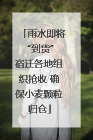 雨水即将“到货” 宿迁各地组织抢收 确保小麦颗粒归仓