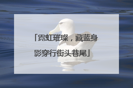 霓虹璀璨，藏蓝身影穿行街头巷尾