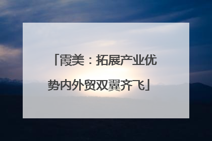 霞美：拓展产业优势内外贸双翼齐飞
