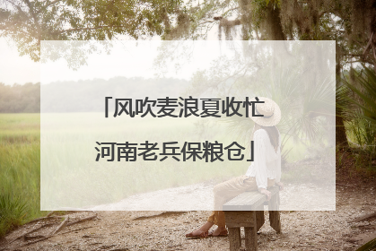 风吹麦浪夏收忙 河南老兵保粮仓