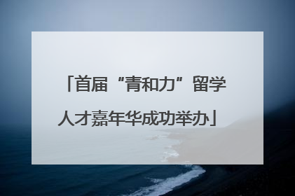 首届“青和力”留学人才嘉年华成功举办