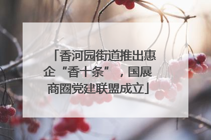 香河园街道推出惠企“香十条”，国展商圈党建联盟成立