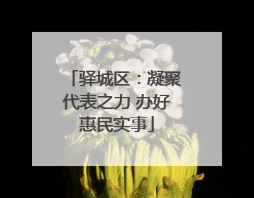 驿城区：凝聚代表之力 办好惠民实事