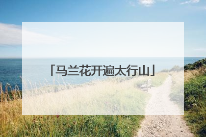 马兰花开遍太行山