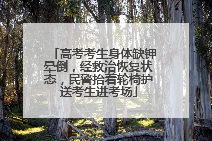 高考考生身体缺钾晕倒，经救治恢复状态，民警抬着轮椅护送考生进考场