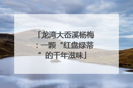 龙湾大岙溪杨梅：一颗“红盘绿蒂”的千年滋味
