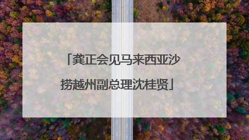 龚正会见马来西亚沙捞越州副总理沈桂贤