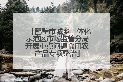 鹤壁市城乡一体化示范区市场监管分局开展重点问题食用农产品专项整治