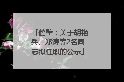 鹤壁：关于胡艳兵、郑涛等2名同志拟任职的公示