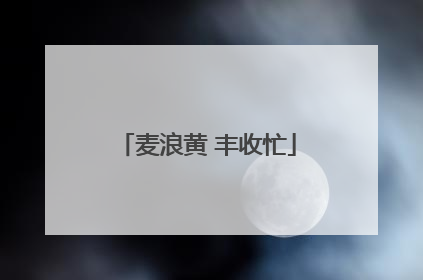 麦浪黄 丰收忙