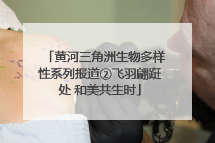 黄河三角洲生物多样性系列报道②飞羽翩跹处 和美共生时