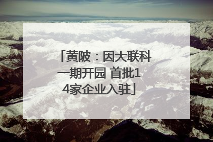 黄陂：因大联科一期开园 首批14家企业入驻